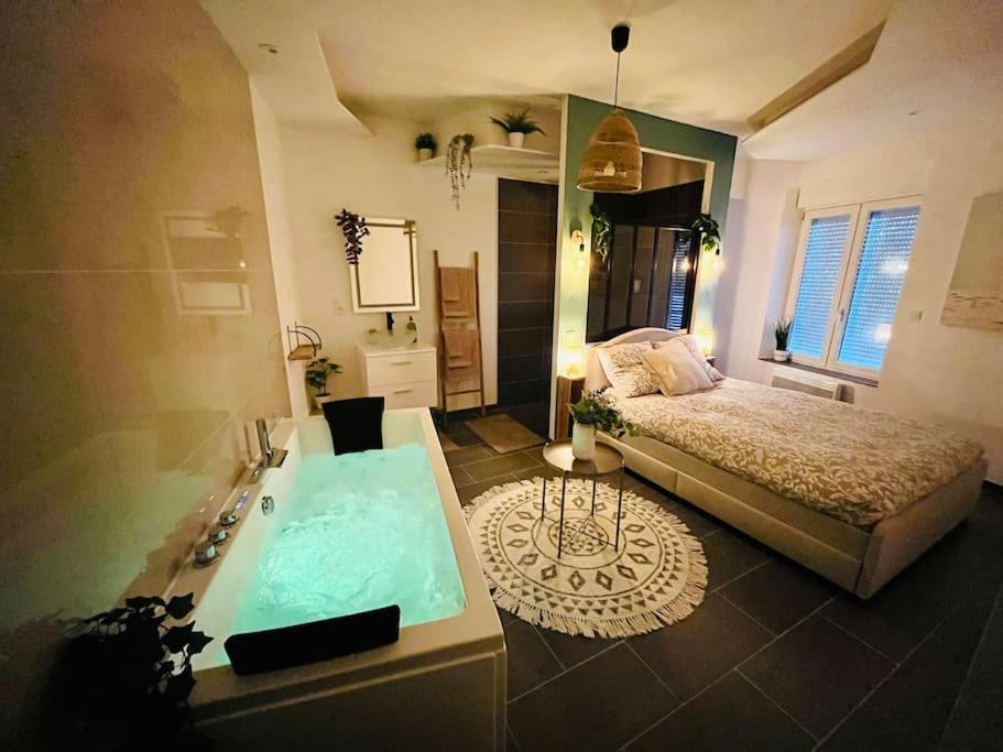 Appartement Glamour Tout Equipe Avec Balneo Et Sauna ナンシー エクステリア 写真